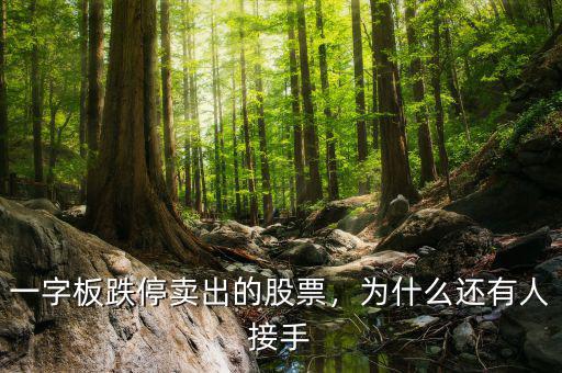 一字板跌停賣出的股票，為什么還有人接手