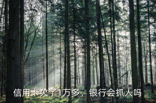 信用卡欠了1萬多，銀行會(huì)抓人嗎