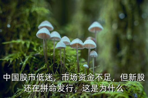 中國(guó)股市低迷，市場(chǎng)資金不足，但新股還在拼命發(fā)行，這是為什么