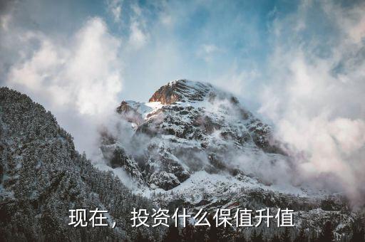現(xiàn)在，投資什么保值升值