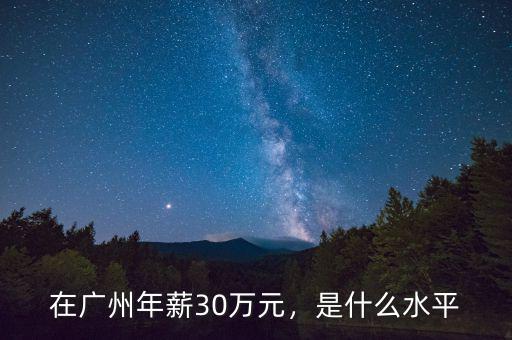 在廣州年薪30萬元，是什么水平