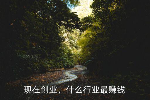 現(xiàn)在創(chuàng)業(yè)，什么行業(yè)最賺錢(qián)