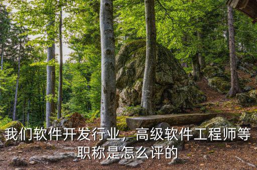 我們軟件開發(fā)行業(yè)，高級軟件工程師等職稱是怎么評的