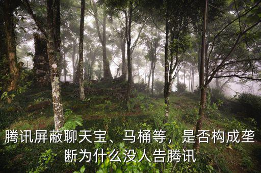 騰訊屏蔽聊天寶、馬桶等，是否構(gòu)成壟斷為什么沒人告騰訊