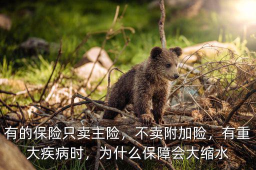 有的保險(xiǎn)只賣主險(xiǎn)，不賣附加險(xiǎn)，有重大疾病時(shí)，為什么保障會大縮水