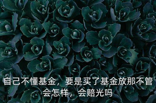 自己不懂基金，要是買了基金放那不管會怎樣，會賠光嗎