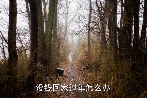 沒(méi)錢(qián)回家過(guò)年怎么辦,沒(méi)錢(qián)回家過(guò)年怎么辦