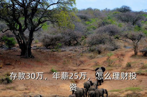 存款30萬，年薪25萬，怎么理財(cái)投資