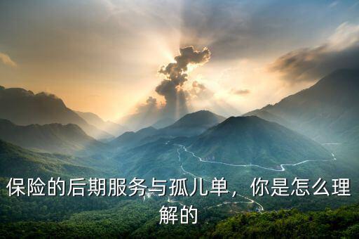 保險(xiǎn)的后期服務(wù)與孤兒?jiǎn)?，你是怎么理解? class=