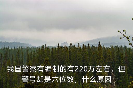 我國(guó)警察有編制的有220萬(wàn)左右，但警號(hào)卻是六位數(shù)，什么原因