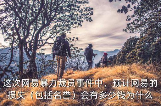 這次網(wǎng)易暴力裁員事件中，預計網(wǎng)易的損失（包括名譽）會有多少錢為什么