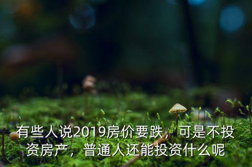 有些人說(shuō)2019房?jī)r(jià)要跌，可是不投資房產(chǎn)，普通人還能投資什么呢