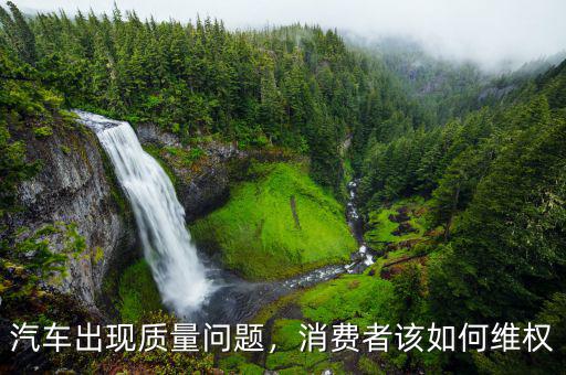 汽車出現(xiàn)質(zhì)量問題，消費者該如何維權