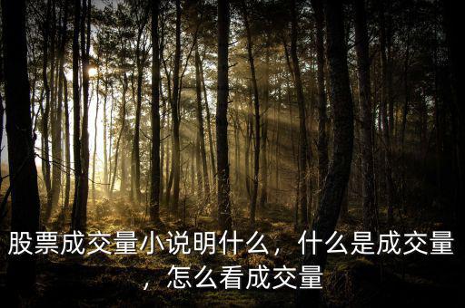 股票成交量小說明什么，什么是成交量，怎么看成交量