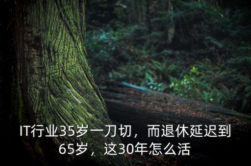 IT行業(yè)35歲一刀切，而退休延遲到65歲，這30年怎么活