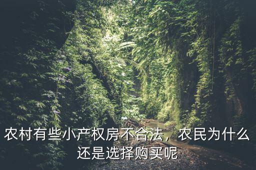 為什么小產權房不合法,農民為什么還是選擇購買呢