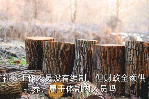 社區(qū)工作人員沒有編制，但財政全額供養(yǎng)，屬于體制內(nèi)人員嗎