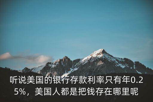 聽說美國的銀行存款利率只有年0.25%，美國人都是把錢存在哪里呢