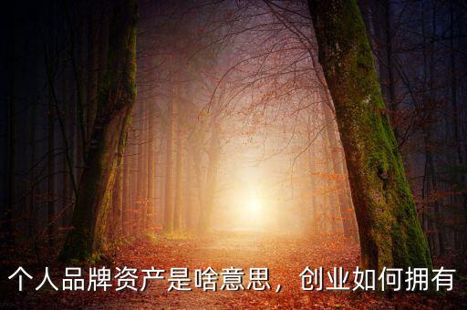 個人品牌資產是啥意思，創(chuàng)業(yè)如何擁有