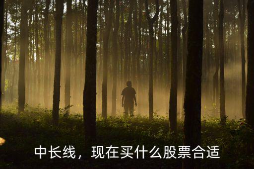 中長(zhǎng)線，現(xiàn)在買(mǎi)什么股票合適
