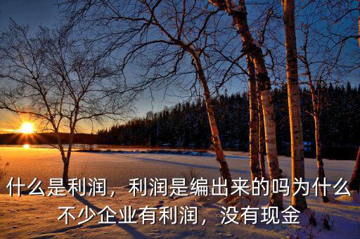 什么是利潤，利潤是編出來的嗎為什么不少企業(yè)有利潤，沒有現(xiàn)金