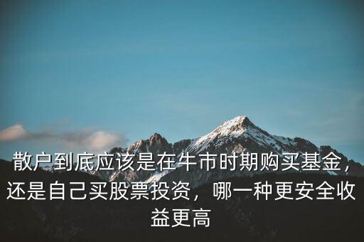 散戶到底應(yīng)該是在牛市時(shí)期購買基金，還是自己買股票投資，哪一種更安全收益更高