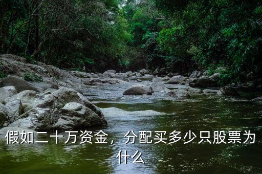 假如二十萬(wàn)資金，分配買(mǎi)多少只股票為什么