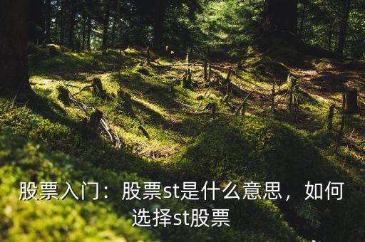 股票入門：股票st是什么意思，如何選擇st股票