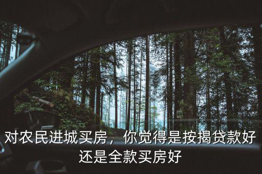 農(nóng)民工進(jìn)城拿什么買(mǎi)房,農(nóng)民工一定要進(jìn)城買(mǎi)房嗎
