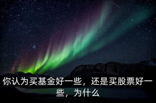 你認(rèn)為買基金好一些，還是買股票好一些，為什么