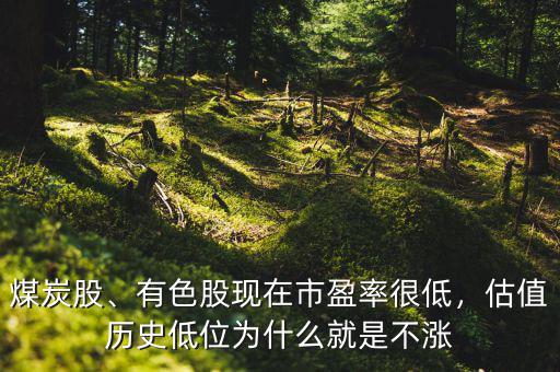 煤炭股、有色股現(xiàn)在市盈率很低，估值歷史低位為什么就是不漲