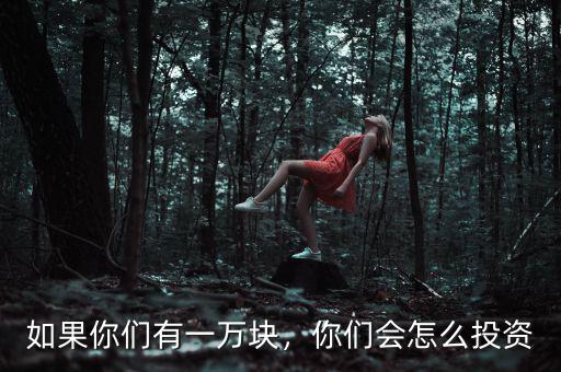 如果你們有一萬塊，你們會怎么投資