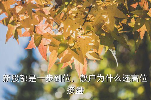 新股都是一步到位，散戶為什么還高位接盤