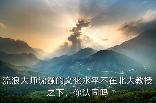 流浪大師沈巍的文化水平不在北大教授之下，你認同嗎