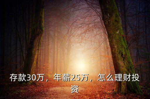 存款30萬，年薪25萬，怎么理財投資