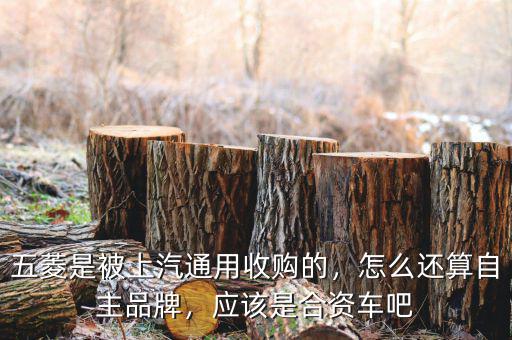 五菱是被上汽通用收購的，怎么還算自主品牌，應(yīng)該是合資車吧