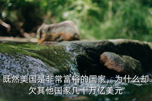既然美國是非常富裕的國家，為什么卻欠其他國家?guī)资f億美元