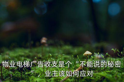 不能說(shuō)的秘密投資了多少,周蒙不能說(shuō)的秘密