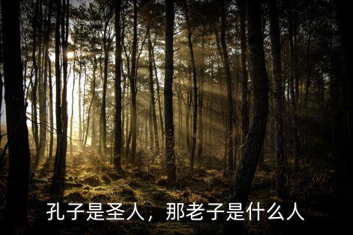 孔子是圣人，那老子是什么人