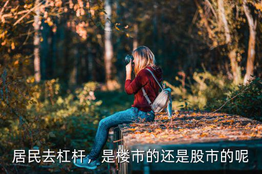 居民去杠桿，是樓市的還是股市的呢