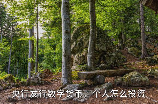 央行發(fā)行數(shù)字貨幣，個人怎么投資