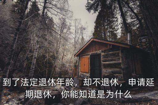 到了法定退休年齡，卻不退休，申請延期退休，你能知道是為什么