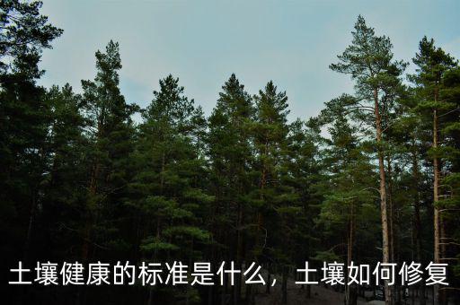 土壤健康的標準是什么，土壤如何修復(fù)