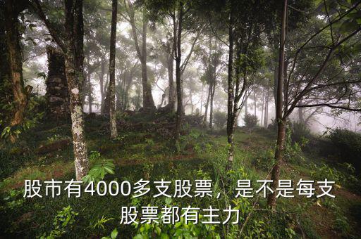 股市有4000多支股票，是不是每支股票都有主力