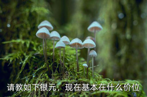 請(qǐng)教如下銀元，現(xiàn)在基本在什么價(jià)位