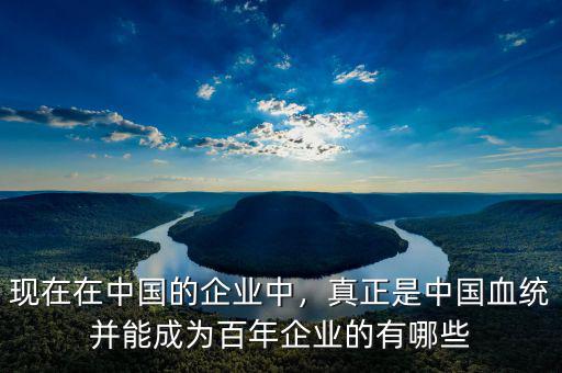 現(xiàn)在在中國的企業(yè)中，真正是中國血統(tǒng)并能成為百年企業(yè)的有哪些