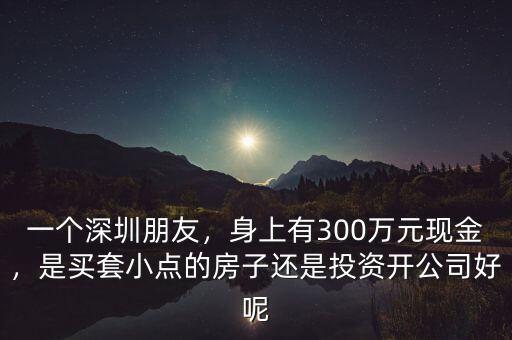 一個深圳朋友，身上有300萬元現(xiàn)金，是買套小點的房子還是投資開公司好呢