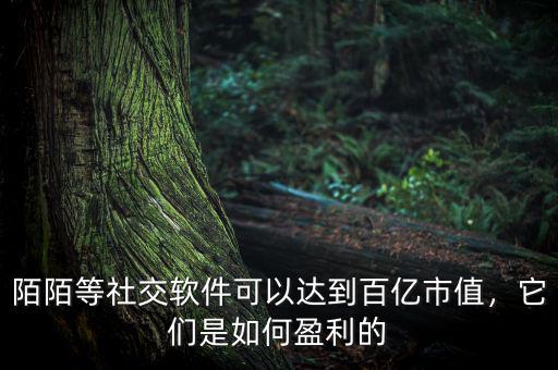 陌陌等社交軟件可以達(dá)到百億市值，它們是如何盈利的