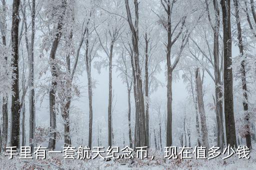 手里有一套航天紀(jì)念幣，現(xiàn)在值多少錢