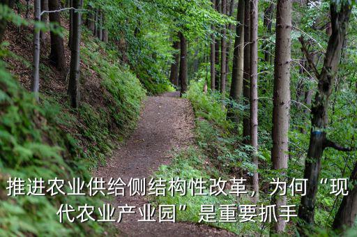 推進(jìn)農(nóng)業(yè)供給側(cè)結(jié)構(gòu)性改革，為何“現(xiàn)代農(nóng)業(yè)產(chǎn)業(yè)園”是重要抓手